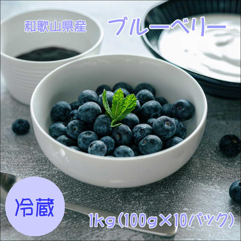 【ふるさと納税】 【2026年6月下旬より順次発送予定】 【5月10日頃より順次発送】 ブルーベリー　1kg（100g×10） | ブルーベリー 果物 くだもの フルーツ 和歌山
