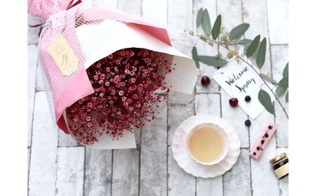 チェリーかすみの花束 かすみ草 カスミソウ 花束 花 誕生日 成人式 卒業祝い 初節句 ひな祭り バレンタイン お返し 結婚 ウエディング 送別 祝い プレゼント 結婚祝い お礼 花束 赤いかすみ草 
