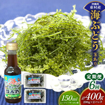 【ふるさと納税】【定期便：6回】美ら海 沖縄県産 海ぶどうセット／茎あり400g（200g×2パック）ポン酢付 海ブドウ 海ぶどう うみぶどう パック 茎なし クビレズタ たれ付き 海鮮 海藻 プチプチ おつまみ 沖縄料理 ご当地 特産品 グルメ 人気 居酒屋 常温 沖縄県 東村