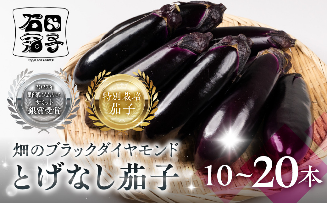 
            ≪先行予約≫とげなし茄子 選べる 10本 ~ 20本 ナス 茄子 なす なすび 野菜 旬 旬の野菜 糖度 石田茄子 トゲなし　とげなし お取り寄せ 健康 夕飯 おかず 愛知県 豊橋市
          