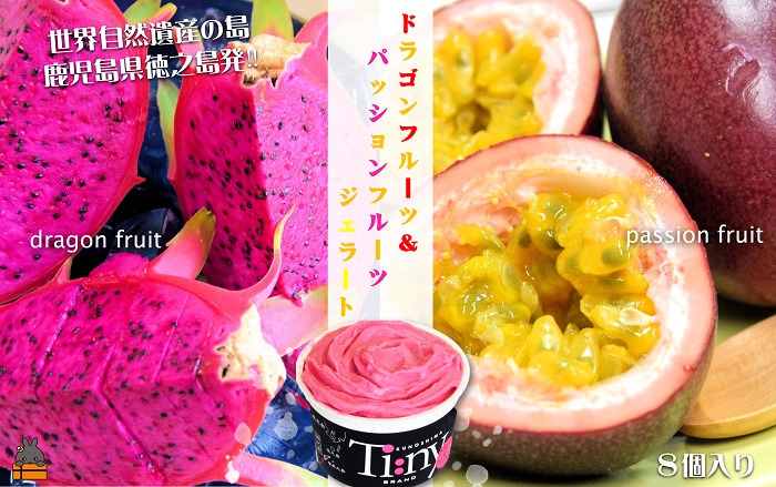 南の島の恵み！ドラゴン＆パッション プレミアムジェラート （8個入）( ジェラート アイス ドラゴンフルーツ パッションフルーツ 果物 フルーツ オリジナル 徳之島 奄美 鹿児島 スイーツ 美農里館 