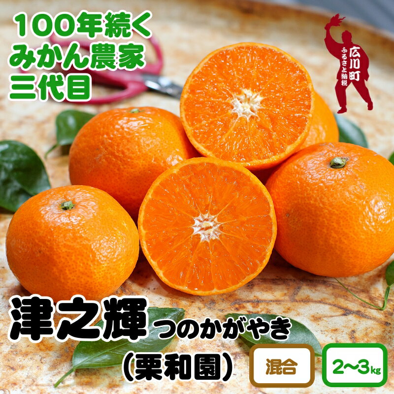 【ふるさと納税】 津之輝 ( つのかがやき ) 2kg 3kg サイズ混合 有田産 ※2月中旬頃〜4月上旬頃に順次発送予定 7000円 10000円 / みかん くだもの 果実 蜜柑 柑橘 果物 フルーツ 国産 和歌山 広川 有田 //dekopon