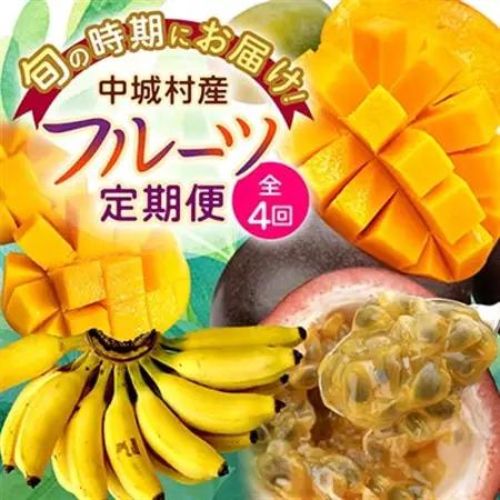 【発送月固定定期便】JAおきなわ厳選!季節の南国フルーツ全4回【配送不可地域：離島】【4079625】