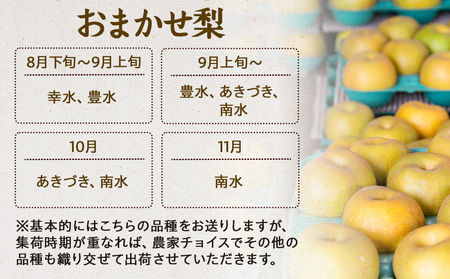 【2024年】信州の梨 品種おまかせ 約3kg フルーツ 果物 デザート なし ナシ 産地直送 長野県 信州産