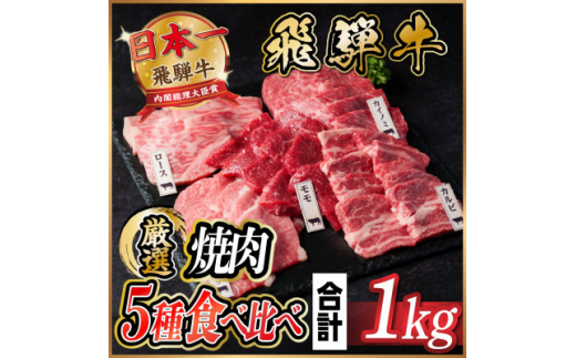 飛騨牛　焼肉厳選5種食べ比べセット(カルビ・トモサンカク・モモ・ロース・カイノミ)約1kg　タレ付き【1532671】