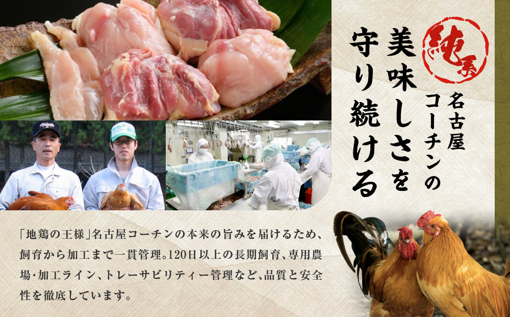 純系名古屋コーチン　旨塩鍋2～3人用