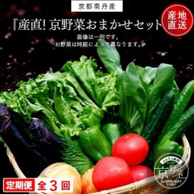 ふるさと納税 南丹市 【毎月定期便】【産地直送】旬のお野菜詰め合わせ 京野菜セット 6〜8種類全3回