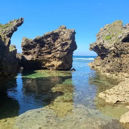 徳之島オーガニックソルト 新月の塩 100g