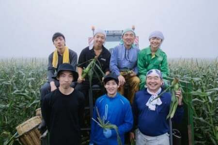 2026年夏のご予約受付開始！ 信濃町名産とうもろこし『ファームかずとのゴールドラッシュ 20本セット』粒皮が薄く生でも食べられる、フルーツを凌ぐほどの甘いとうもろこし 朝採れを農場から直送　令和8年