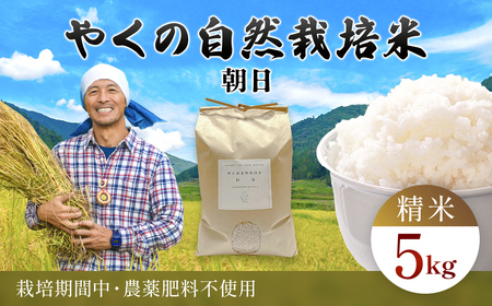 【令和8年産先行予約】 やくの自然栽培米 朝日 5kg 精米 （白米） / 自然栽培米 自然栽培 こめ コメ 米 白米 精米 イセヒカリ いせひかり お米 ごはん やくの 夜久野 京都府 福知山市 FCEV017