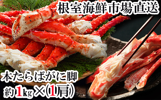 
            C-28041  根室海鮮市場＜直送＞ボイルたらばがに脚約1kg×1肩 【12月8日決済分まで年内配送】
          