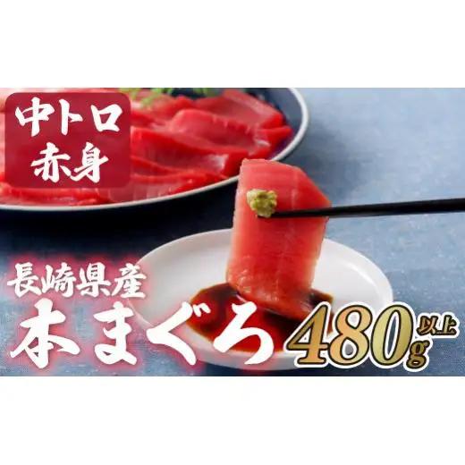 【 中トロ 赤身 】長崎県産本マグロ 480g 海鮮丼 A131
