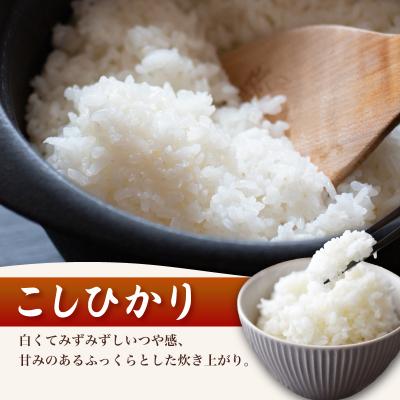 ふるさと納税 下関市 コシヒカリ 10kg 隔月3回 令和8年産 《内日三町:DZ813-KS》 |  | 01
