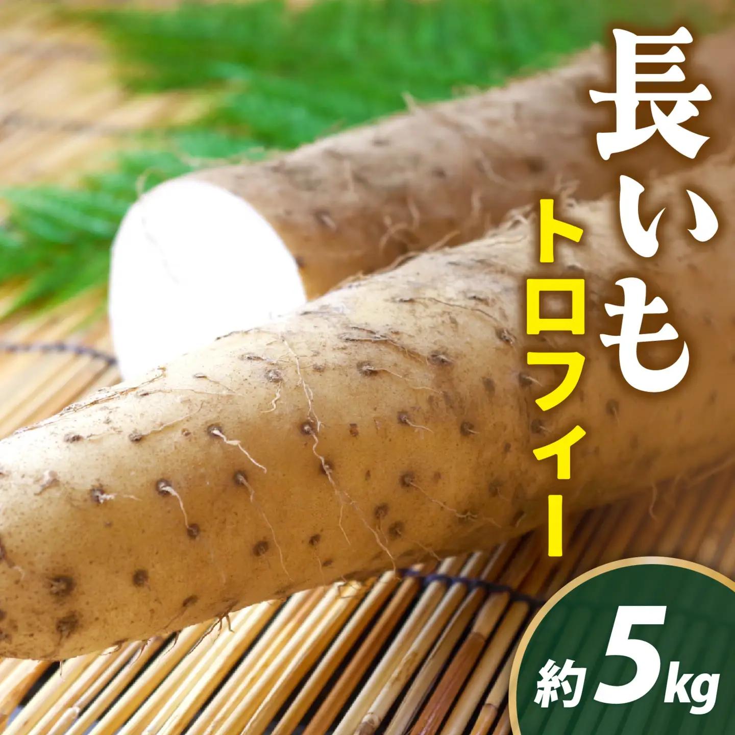 【先行予約 2026年収穫分】長いも（トロフィー） 5kg（1箱） / 長いも