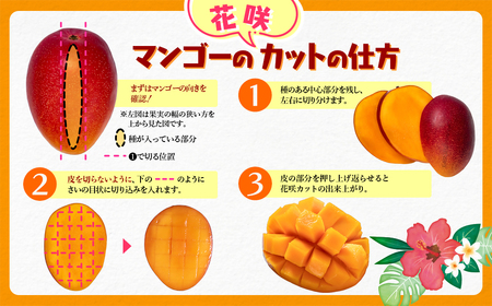 訳あり　西都市産完熟マンゴー2L×2玉　計700g＜1.2-37＞