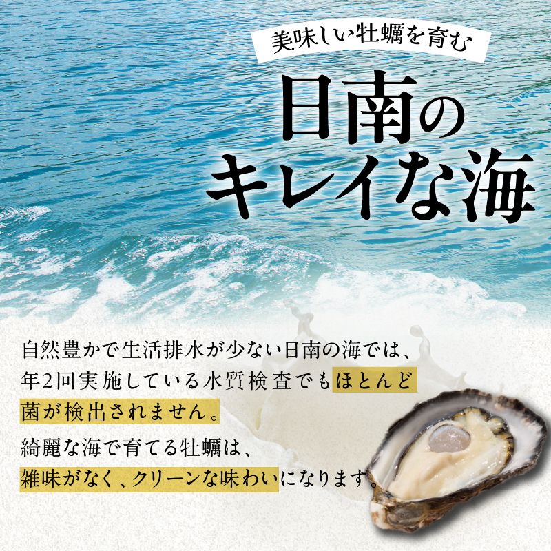 CB81-23_数量限定 ブランド 牡蠣 ひとしおオイスター 計20個 魚介 貝 かき 生食用 殻付き 国産 宮崎県産 おかず 食品 ギフト 生牡蠣 海鮮 BBQ 送料無料_イメージ3