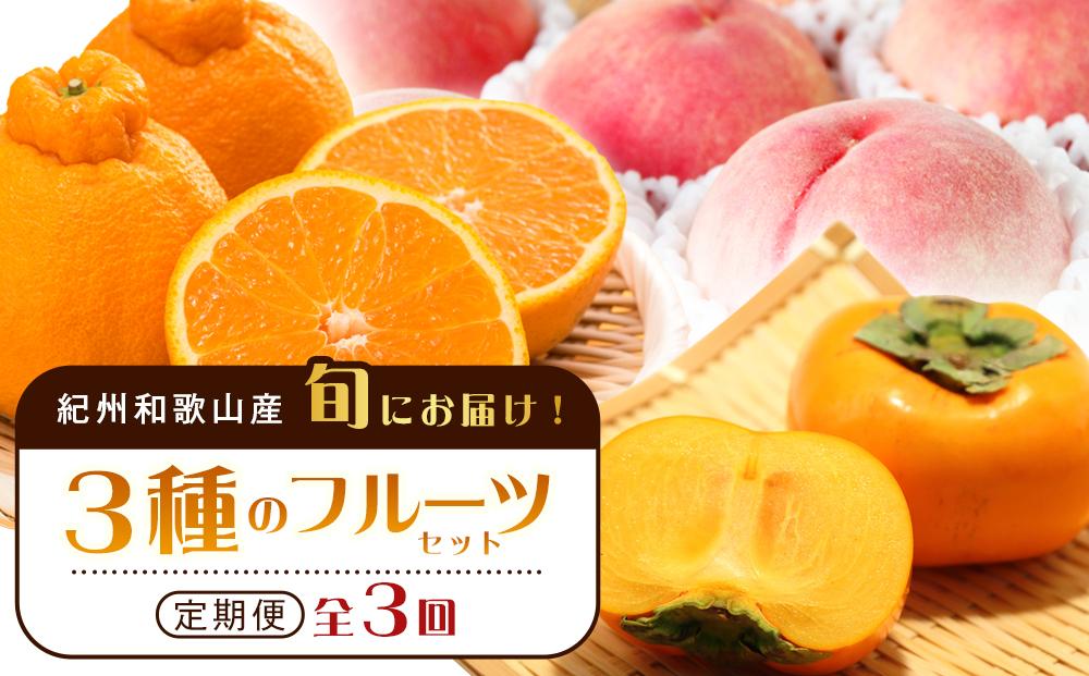 紀州和歌山産 旬にお届け！3種のフルーツセット（不知火・桃・ひらたね）【UT58】 303446_XF91127