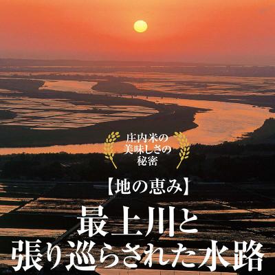 ふるさと納税 酒田市 【毎月定期便】山形県の米どころ庄内平野で育った庄内米　はえぬき5kg全4回 |  | 03