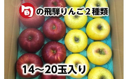 【数量限定】≪9月中旬～順次発送≫ 飛騨リンゴ 5kg（14～20玉入り）おまかせ２品種 食べ比べ | 果物 りんご リンゴ 林檎 フルーツ 旬 飛騨高山 ぜんぞう果樹園 FX004