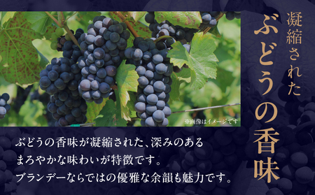 【最速便】雲海葡萄酒醸造所 ブランデー 500ml 国産 国産ブランデー 酒 洋酒 お酒 アルコール 果実酒 葡萄酒 熟成 蒸留 贈答用 贈り物 ギフト プレゼント 記念日 誕生日 イベント 手土産