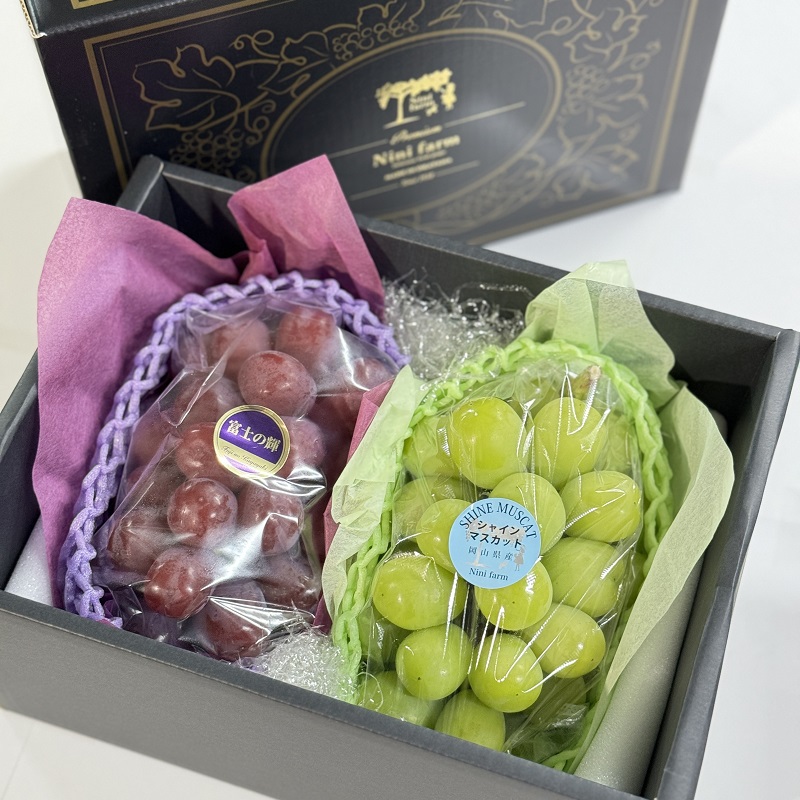 ぶどう 話題の品種 富士の輝＆こだわりのシャインマスカット 贈答ランク 合計約1.4kg ブドウ 葡萄 岡山県産 国産 フルーツ 果物 ギフト 【 Nini farm 農家 直送 】