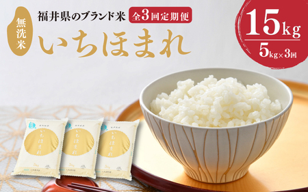 【令和7年産】定期便 ≪3ヶ月連続お届け≫ 福井県のブランド米 いちほまれ 無洗米 5kg × 3回 計15kg 【 無洗米 人気 品種 ブランド米 特A 】 [E-6109] 