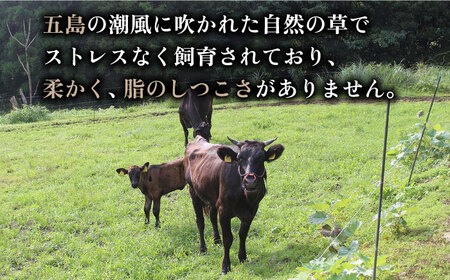 【色んな料理に♪幻の和牛のとろける旨味】五島牛 グルメセット 牛肉 すき焼き しゃぶしゃぶ 切り落とし ステーキ【ミートマーケットハラ】[RBO015]