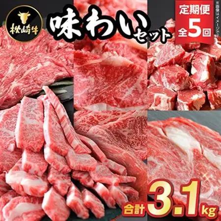 【毎月定期便】枕崎牛味わいセット(赤身ブロック・ステーキ・もも・カルビ等)JJ10-0001 全5回【配送不可地域：離島】【4059346】