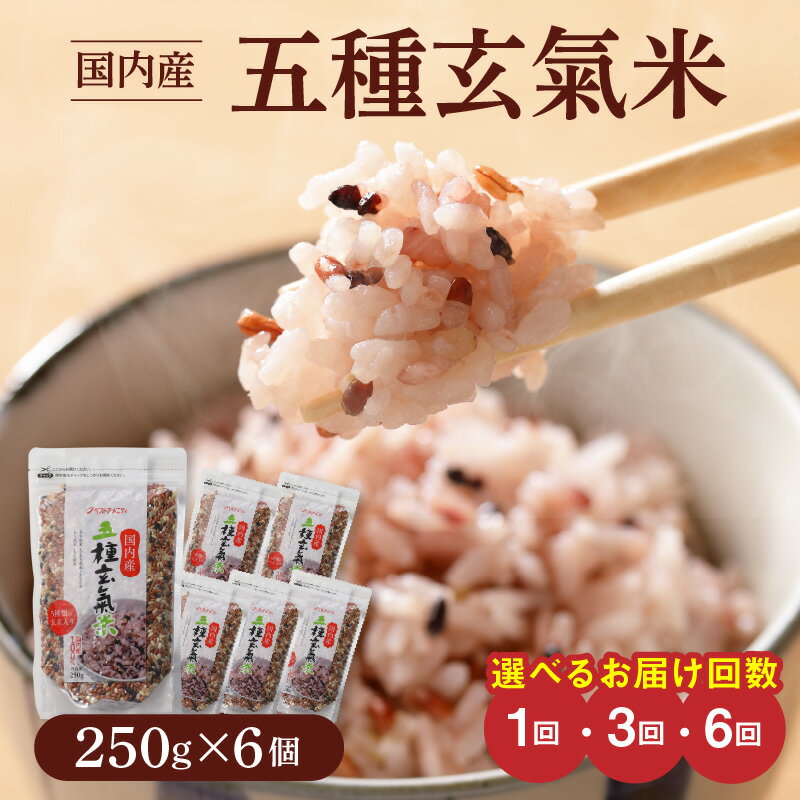 【ふるさと納税】国内産 五種玄氣米 250g×6個 選べる お届け回数 1回 3回 6回 玄米 ブレンド 雑穀米 もち赤米 うるち玄米 もち玄米 もち黒米 もち緑米 プチプチ もちもち 混ぜて炊くだけ 冷めても美味しい 主食 おにぎり 弁当 食卓 華やか 福岡県 久留米市 送料無料