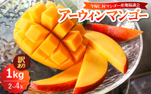 【2026年6月下旬から順次発送・訳あり】今帰仁産のアップルマンゴー1kg(2～4玉)【配送不可地域：離島】