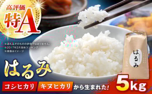 【特Aランク受賞実績あり！】はるみ 5kg【遠藤ファーム】開成町 米 ご飯 白米 お米 特A [BDAF001]