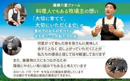 かごしま黒豚切り落とし定期便 1kg×隔月6回定期便 DS-922