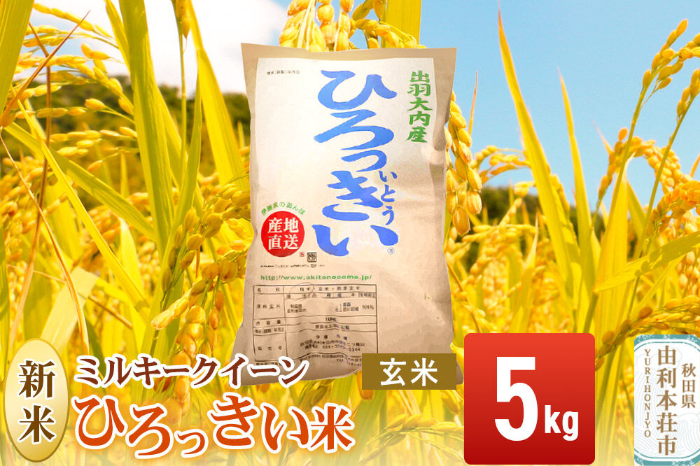 《令和8年産 新米受付》【玄米】ミルキークイーン 5kg 秋田県産 ひろっきい米 [新米 ミルキークイーン 米 玄米 お米 おこめ ブランド米 食卓 おにぎり 秋田県産 秋田県 由利本荘市]