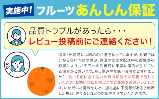 先行予約 小玉みかん 8kg 旬 みかん《9月下旬-12月下旬頃出荷》熊本県 南関町 ご家庭用 熊本県産 S-3Sサイズ フルーツ 柑橘 温州みかん 早生 中生 晩生 ジュース ゼリー 訳あり 小玉 