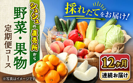 野菜定期便 12回 大村産野菜果物  [ACAA092]