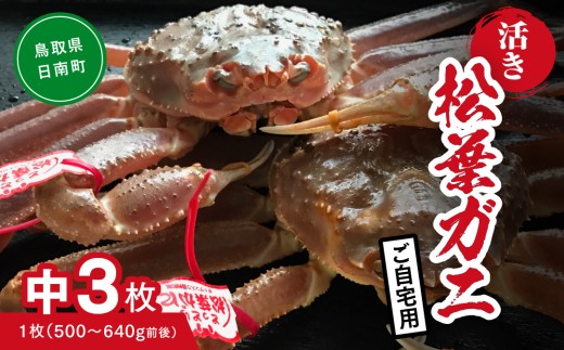 【活き】ご自宅用 松葉ガニ 中 3枚 (1枚500～640g前後) カニ 蟹 松葉ガニ 松葉がに かに 鳥取 高間商店 日南町