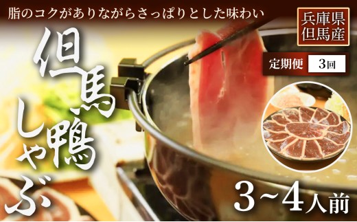 【定期便3ヶ月】【さっと火を通して味わう】「但馬鴨」しゃぶしゃぶセット(小)3～4人前　お中元、お歳暮、快気祝い、残暑御見舞、敬老の日、御見舞、祝還暦、御祝、父の日、母の日、無地、鍋セット 大容量 鴨肉 鴨だし 出汁を楽しむ お取り寄せ 鍋料理 冬 家族 団らん パーティー 簡単調理 手軽ごはん 家庭用 ギフト 贈答用 人気 兵庫県 美方郡