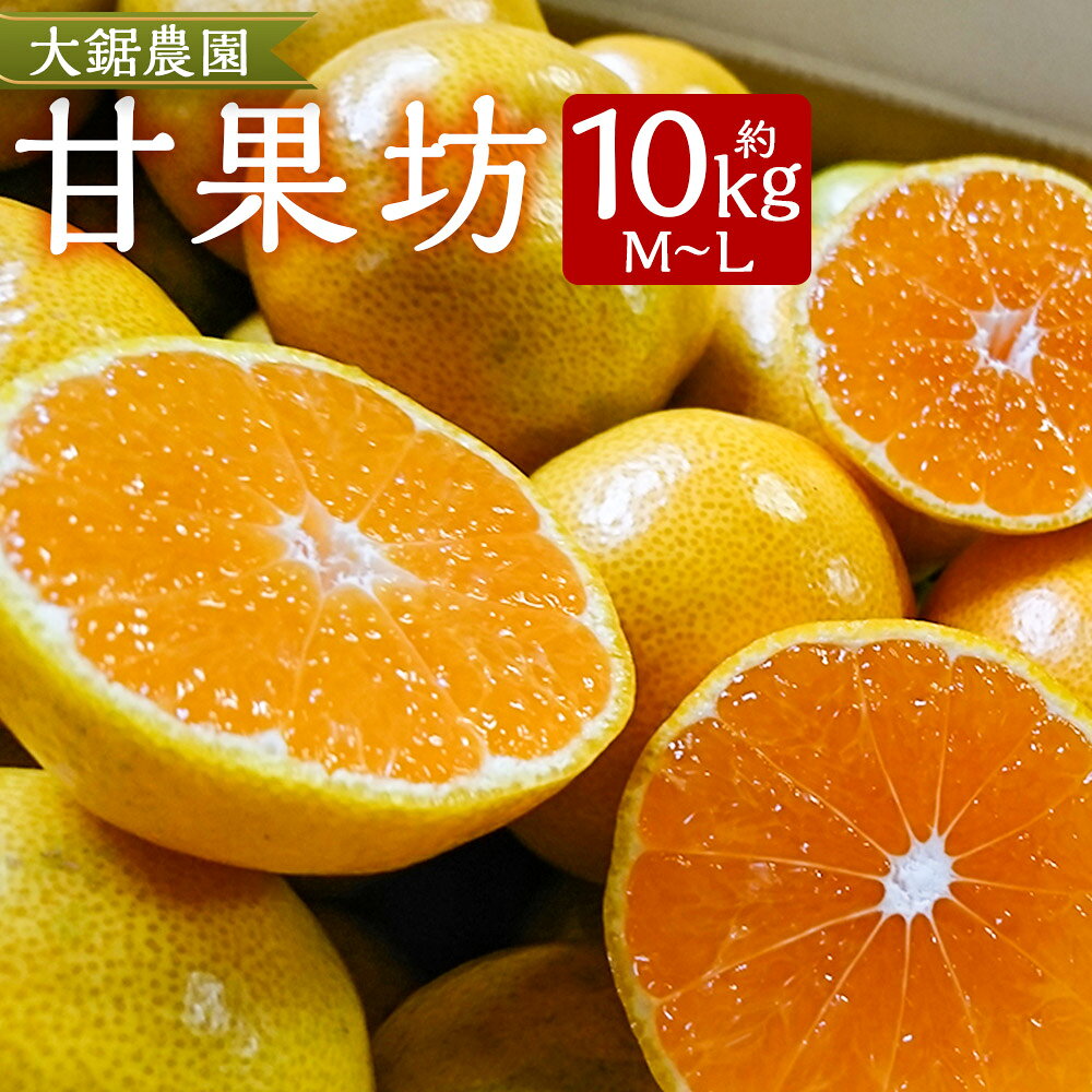 【ふるさと納税】みかん 大鋸農園 甘果坊 10kg | 佐賀県 太良町 みかん ミカン 蜜柑 早生 極早生 ふるさと納税 10kg 佐賀県 太良町 有明海 柑橘 甘い 黒酢 果物 フルーツ N44x1 【2026年10月下旬～12月下旬配送予定】