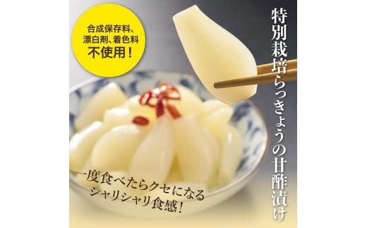 特別栽培らっきょうの甘酢漬（8袋セット） 312011_BT003