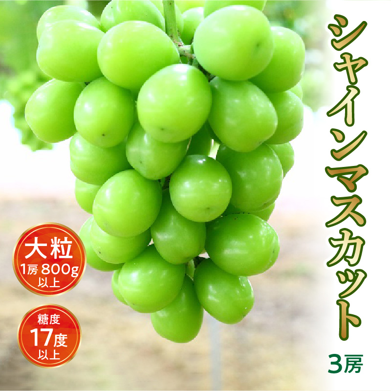 【ふるさと納税】【先行予約】【配送不可地域：北海道・沖縄県・離島】シャインマスカット 大粒 3房【800ｇ以上】【糖度17度以上】皮 旬 時期 糖度 香川 季節 種なし 贈答用 ギフト お取り寄せ 国