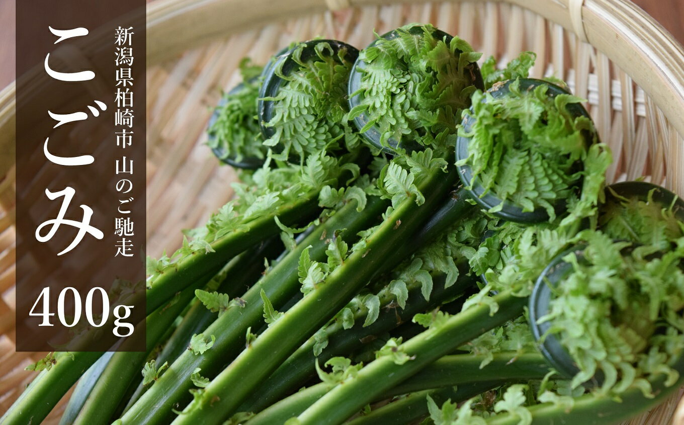 【ふるさと納税】【期間・数量限定】こごみ 400g 山菜 山のごちそう[ZA064]【 新潟県 柏崎市 】