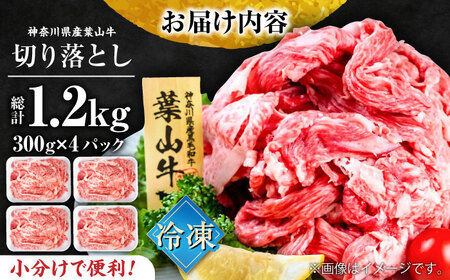 葉山牛 切り落とし300g×4パック【株式会社羽根】 [AKAG003]