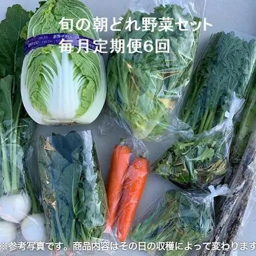 旬の朝どれ野菜セット×6回 ／ やさい 朝採れ 埼玉県