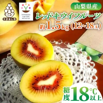 ふるさと納税 山梨市 レッドキウイフルーツ化粧箱入り　産地直送約1.5kg(12〜18玉)