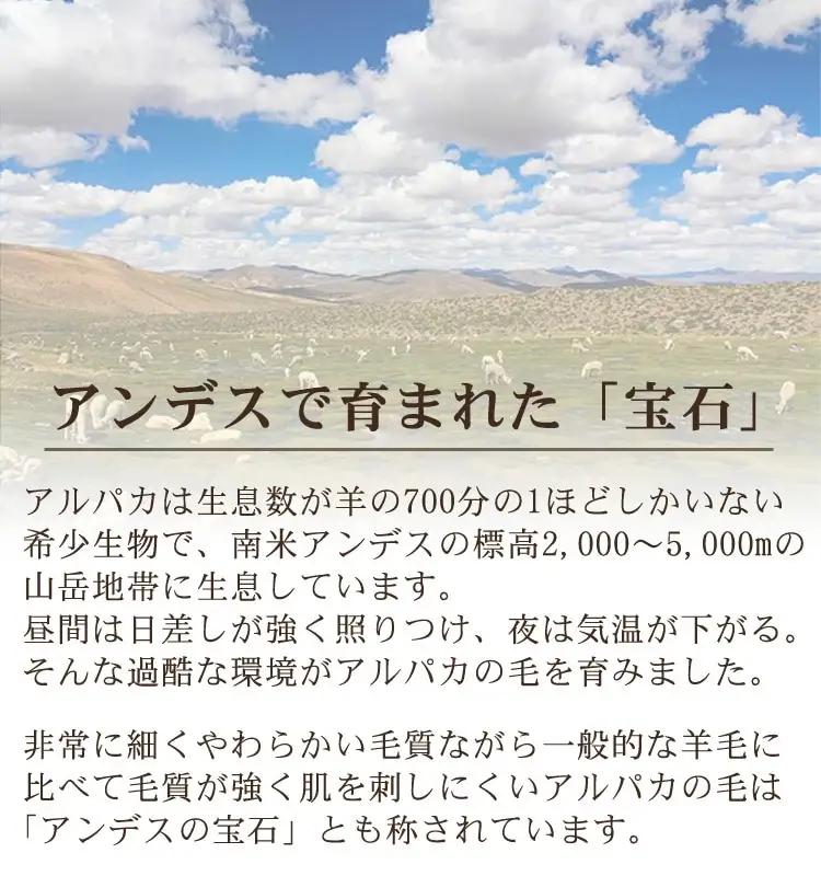 アルパカ毛布 ハーフサイズ [2157] | 毛布