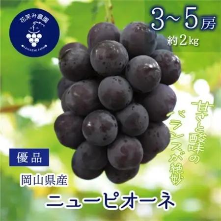 岡山　花笑み農園の『ニューピオーネ』優品　約2kg(3～5房)　P-2優【配送不可地域：離島・北海道・沖縄県】【1593495】