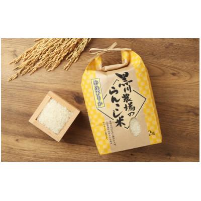 ふるさと納税 蘭越町 <令和7年産>らんこし米 黒川農場 精米 ゆめぴりか 2kg