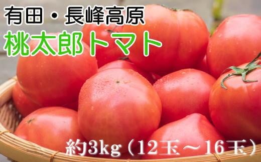 
長峰高原・有田産の桃太郎トマト約3kg★2024年8月頃より順次発送
