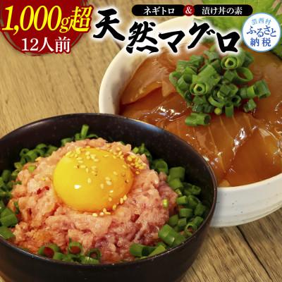 ふるさと納税 芸西村 ネギトロ80gx6P+漬け鮪丼90gx6P【KYF142】