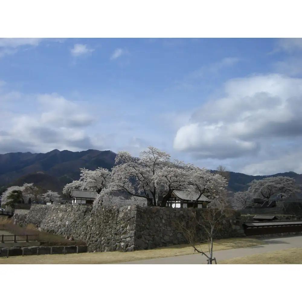 【松代城 壱口城主証】 | 城主証 歴史 文化遺産 寄付